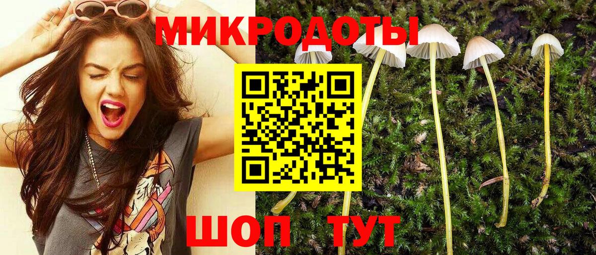 Псилоцибиновые грибы MAGIC MUSHROOMS  купить наркоту  Вход с VPN  Отрадный  Псилоцибиновые грибы ЛСД 
